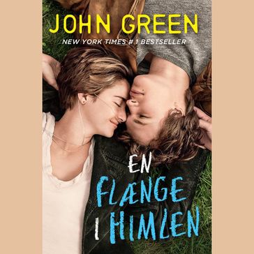 En flænge i himlen - John Green