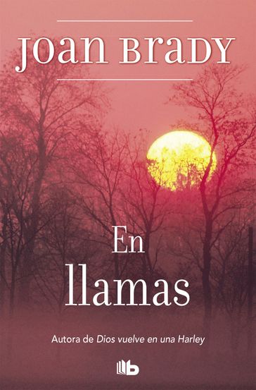 En llamas - Joan Brady