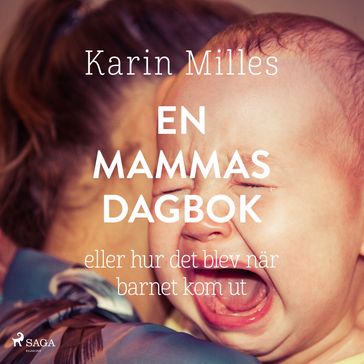 En mammas dagbok - Karin Milles
