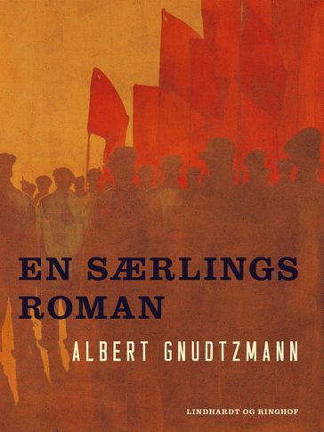 En særlings roman - Albert Gnudtzmann