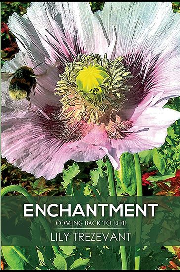 Enchantment: Coming Back to Life - Lily Trezevant