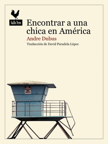 Encontrar a una chica en América - Andre Dubus