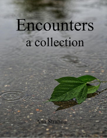 Encounters: A Collection - Ann Stratton