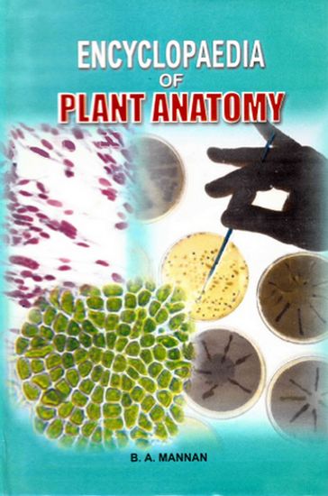 Encyclopaedia of Plant Anatomy - B.A. Mannan