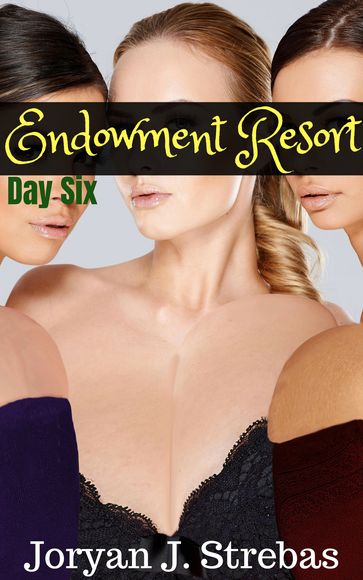 Endowment Resort: Day Six - Joryan J. Strebas