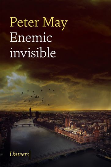 Enemic invisible - Peter May