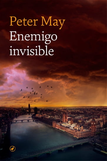 Enemigo invisible - Peter May