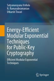 Energy-Efficient Modular Exponential Techniques for Public-Key Cryptography