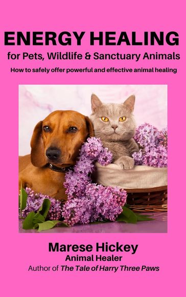 Energy Healing for Pets, Wildlife & Sanctuary Animals - Marese Hickey
