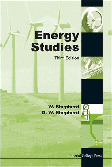 Energy Studies (3rd Edition) - David William Shepherd - William Shepherd