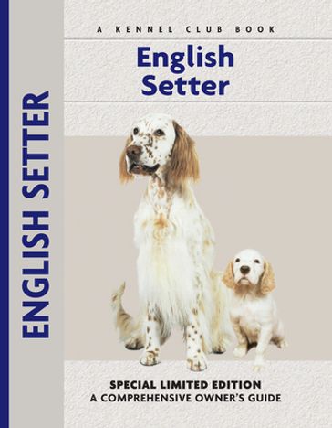 English Setter - Juliette Cunliffe