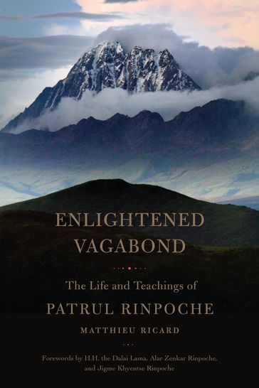 Enlightened Vagabond - Matthieu Ricard