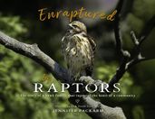 Enraptured by Raptors