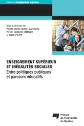 Enseignement supérieur et inégalités sociales