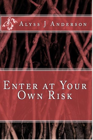 Enter At Your Own Risk - Alyss J. Anderson