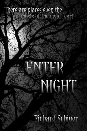 Enter Night - Richard Schiver