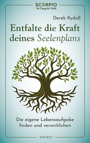 Entfalte die Kraft deines Seelenplans - Derek Rydall