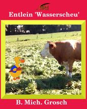 Entlein  Wasserscheu 