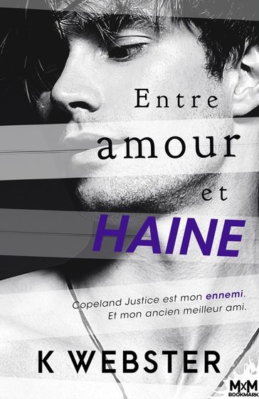 Entre amour et haine - K. Webster