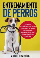 Entrenamiento de perros