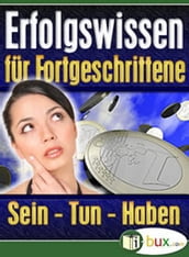 Erfolgswissen für Fortgeschrittene