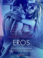 Eros ja 6 muuta kuumaa eroottista novellia