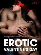 Erotic Valentine s Day - 6 erotiske historier