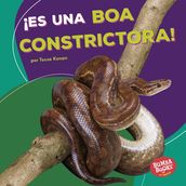 ¡Es una boa constrictora! (It s a Boa Constrictor!)