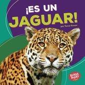 ¡Es un jaguar! (It s a Jaguar!)