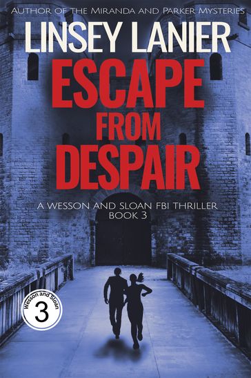 Escape from Despair - Linsey Lanier