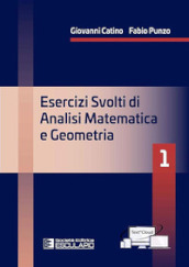 Esercizi svolti di analisi matematica e geometria 1