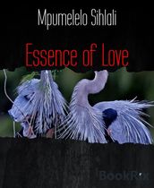 Essence of Love