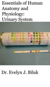 Essentials of Human Anatomy and Physiology: Urinary System