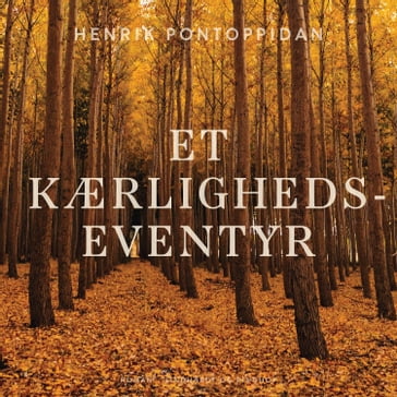 Et kærlighedseventyr - Henrik Pontoppidan