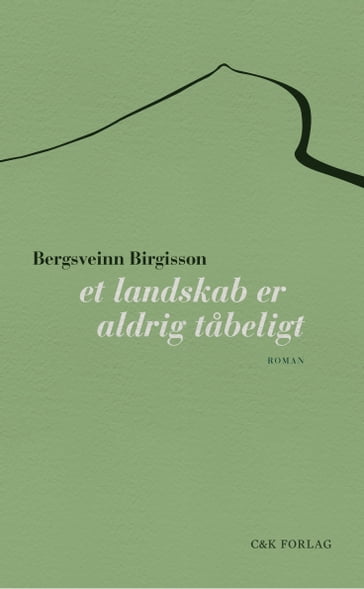 Et landskab er aldrig tabeligt - Bergsveinn Birgisson