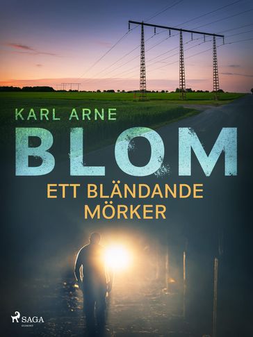 Ett bländande mörker - Karl Arne Blom