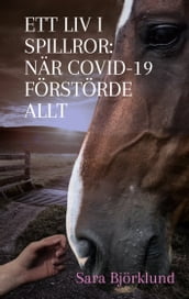 Ett liv i spillror: När covid-19 förstörde allt