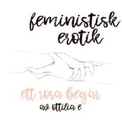 Ett rosa begär - Feministisk erotik