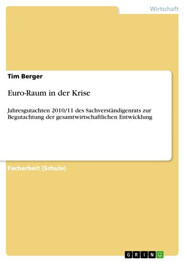 Euro-Raum in der Krise - Tim Berger