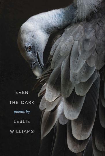 Even the Dark - Leslie Williams