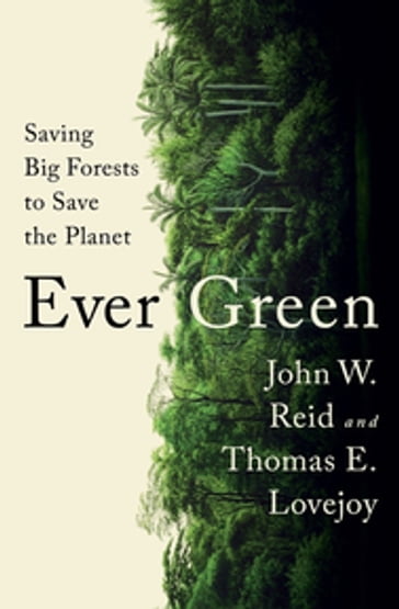Ever Green: Saving Big Forests to Save the Planet - Thomas E. Lovejoy - John W. Reid