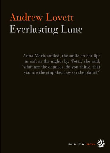 Everlasting Lane - Andrew Lovett