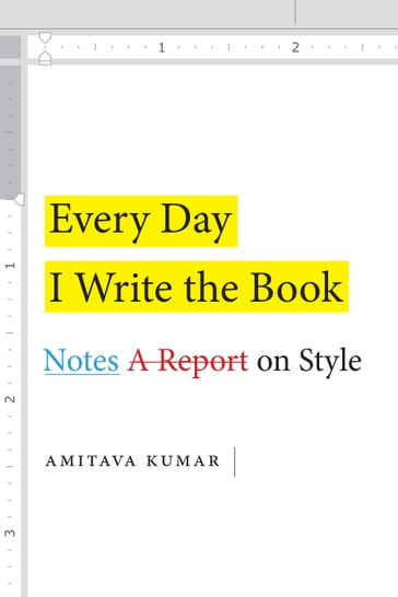 Every Day I Write the Book - Amitava Kumar