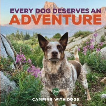 Every Dog Deserves an Adventure - Camping with Dogs - L. J. Tracosas