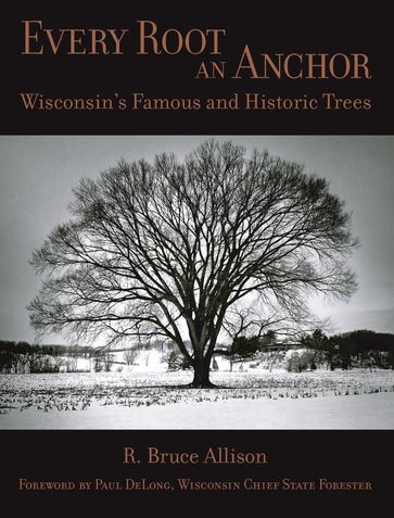 Every Root an Anchor - R. Bruce Allison