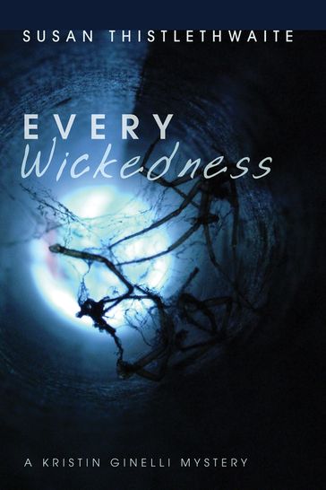 Every Wickedness - Susan Thistlethwaite