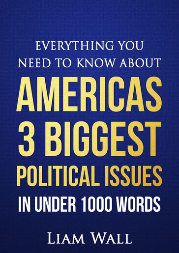 Everything You Need To Know About America's 3 Biggest Political Issues in Under 1000 Words - Liam Wall