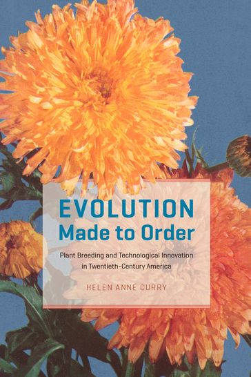 Evolution Made to Order - Helen Anne Curry