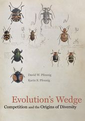 Evolution s Wedge