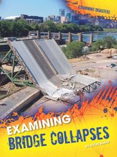 Examining Bridge Collapses